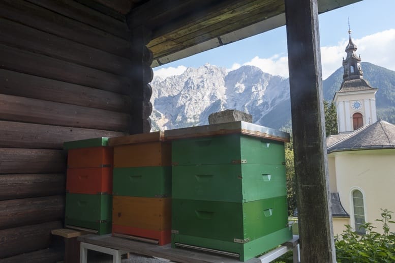 slovenia beekeper hut