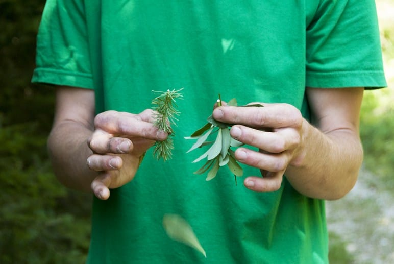 herb hands green tshirt