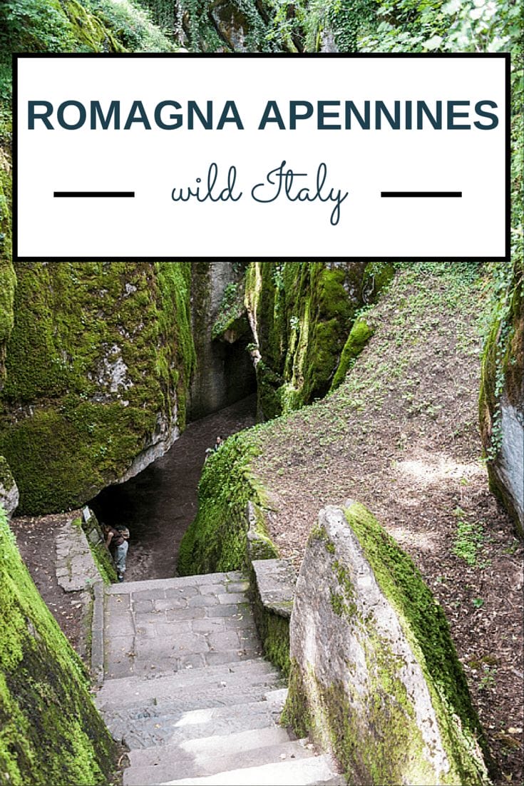 wild romagna apennines pin