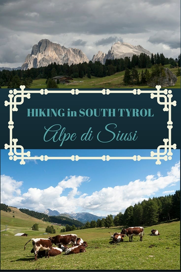 alpe di siusi pin