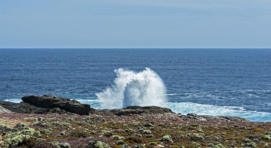 whalers way south australia wave