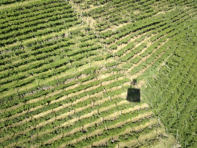 renon cablecar vines