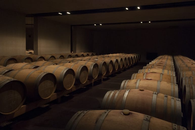 manincor winery caldaro barrels