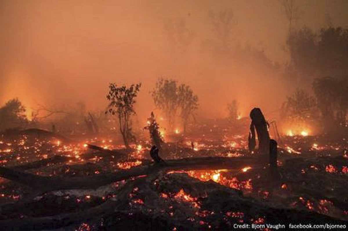 indonesia fires