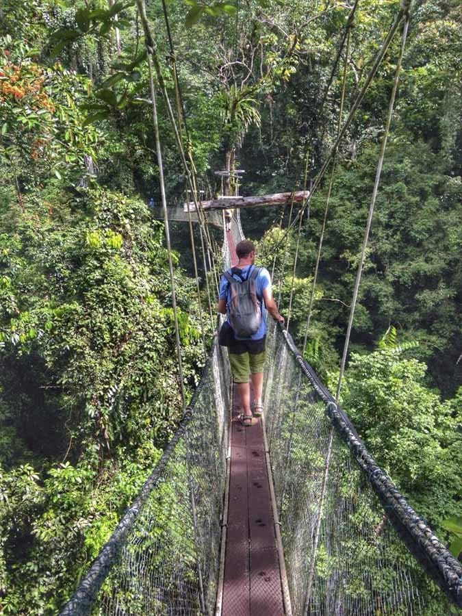 sarawak canopy walk