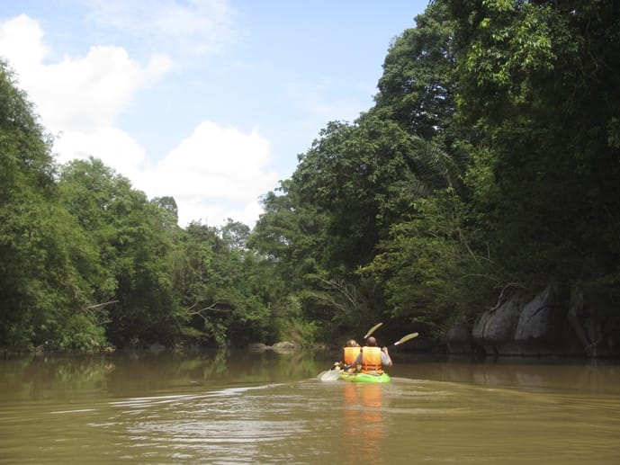 back kayaking sarawak borneo