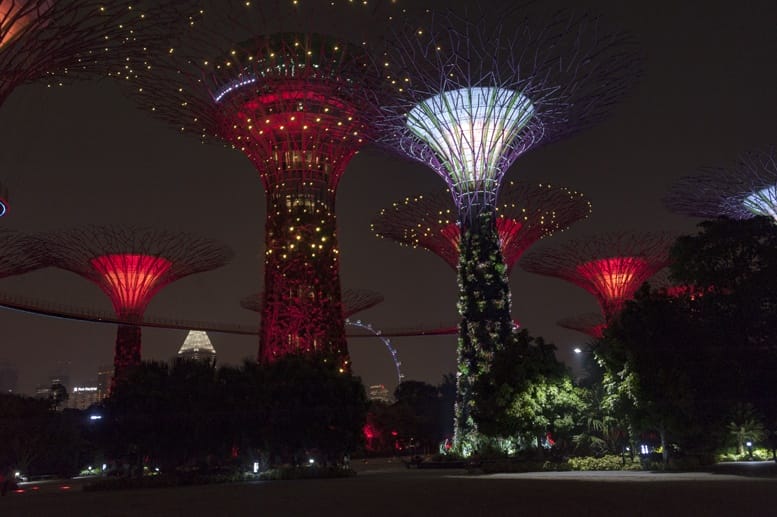 gardens by the bay supertrees night