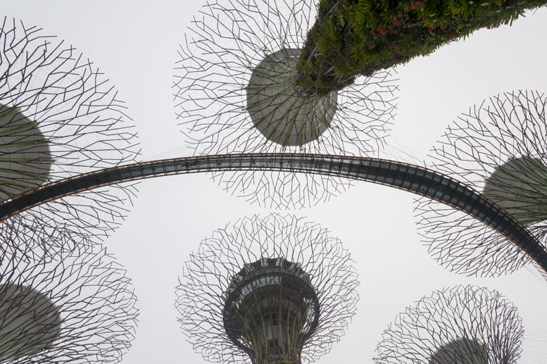 supertrees skyway gardens by the bay