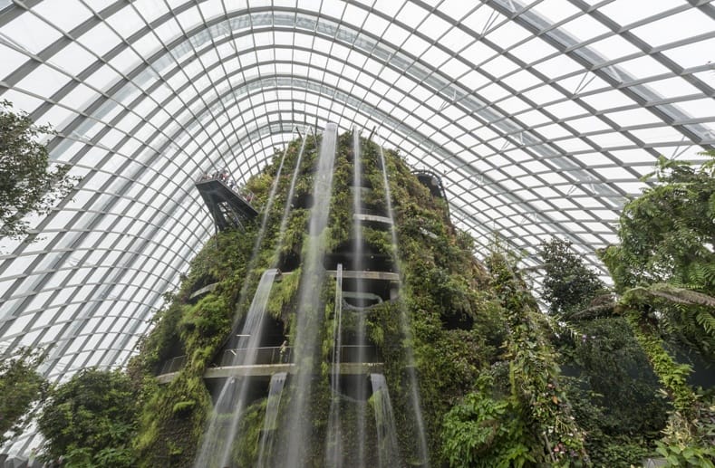 cloud forest conservatory waterfall