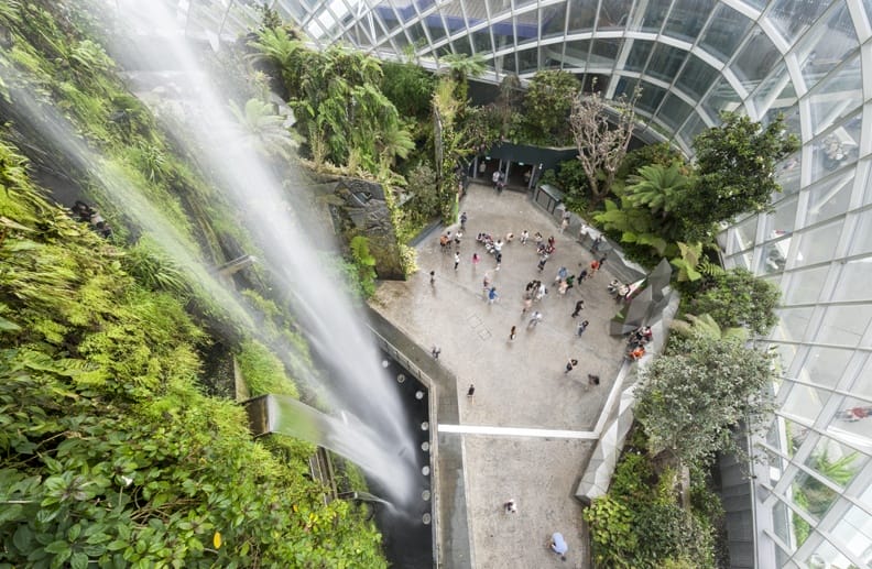 cloud forest conservatory from above