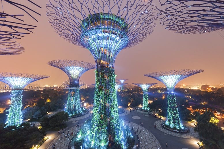 supertree skywalk night singapore