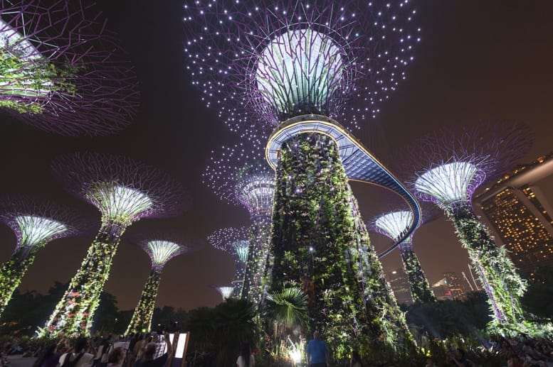 finding nature in singapore supertrees