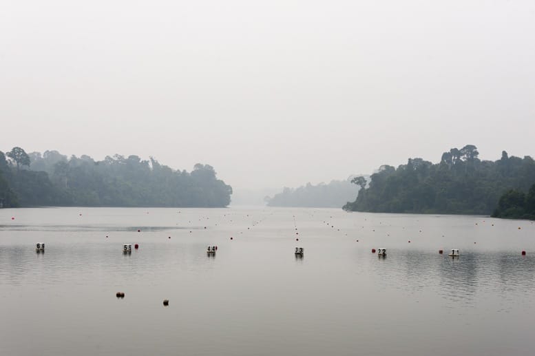 macritchie reservoir singapore