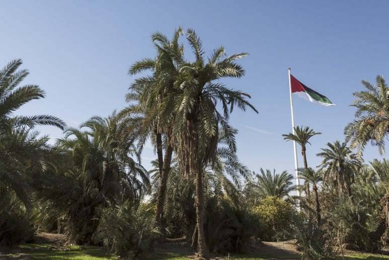 Aqaba-Flag-and-Garden
