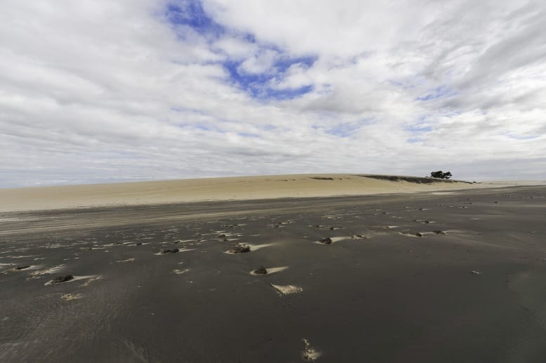 jericoacoara-black-beach