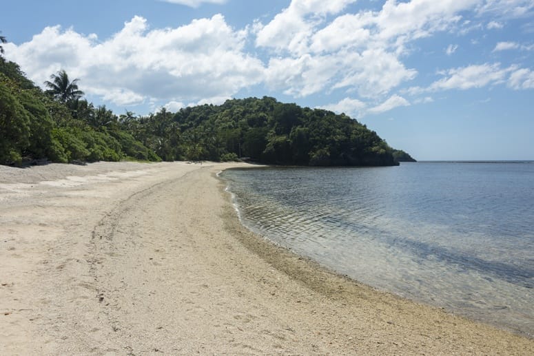 turtle beach danjugan island philippines