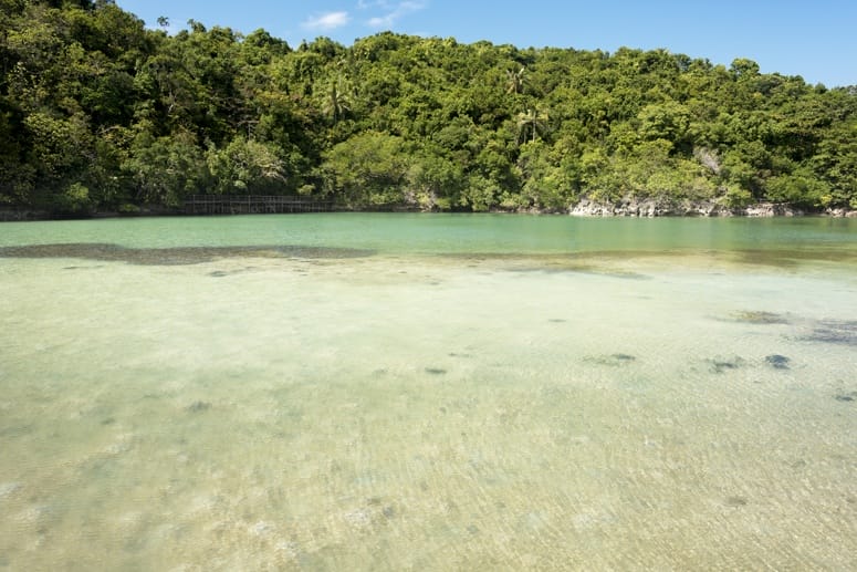 moray eel lagoon danjugan