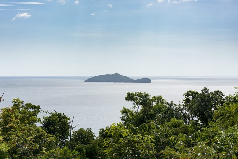 turtle island danjugan negros