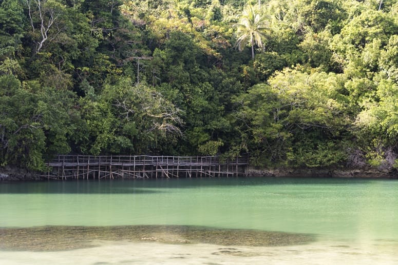 lagoon bridge danjugan