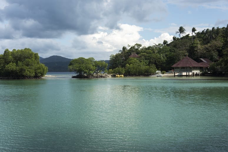 moray eel camp danjugan philippines