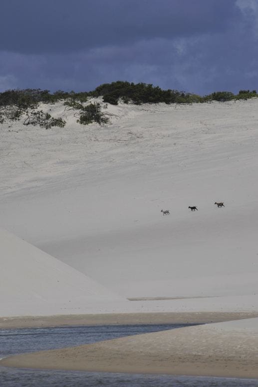 Lençois maranhenses park brazil dunes