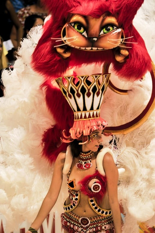 gualeguaychu carnival cat girl