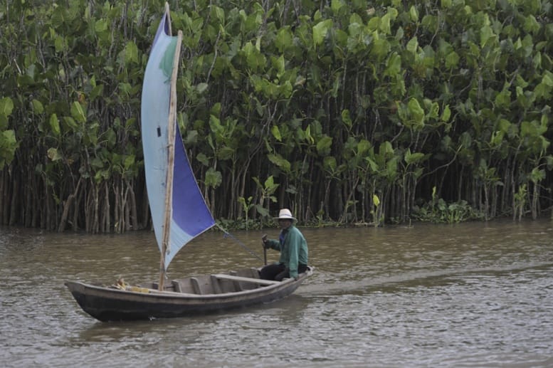 nordeste brazil river boat