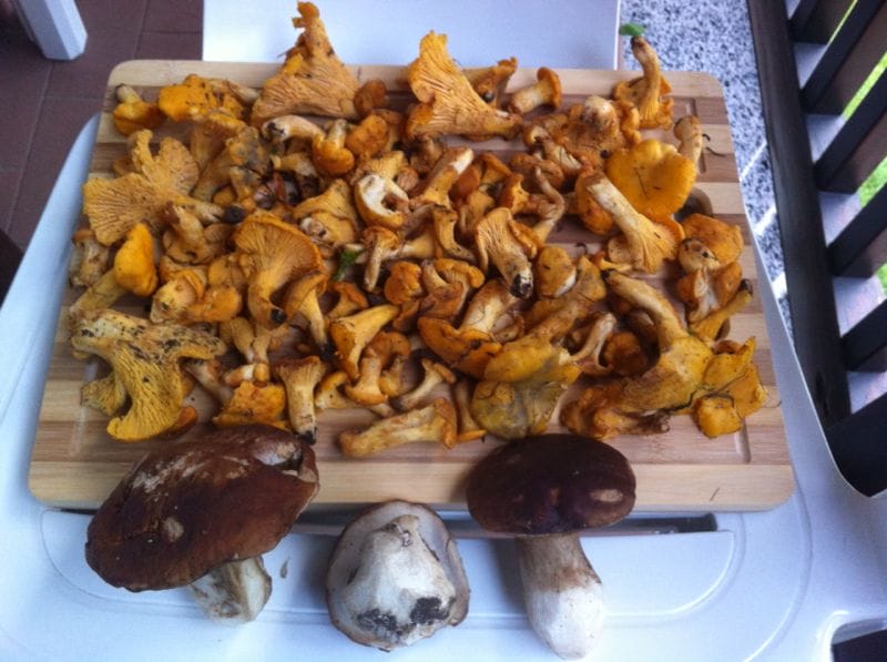 lombardia food funghi