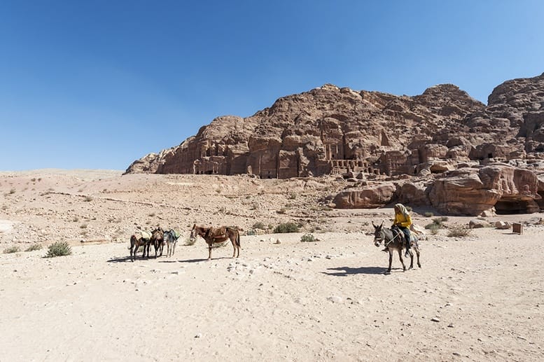 Petra-with-Donkey