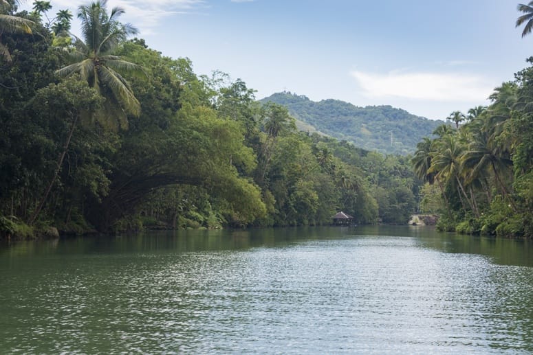 loboc river bohol philippines