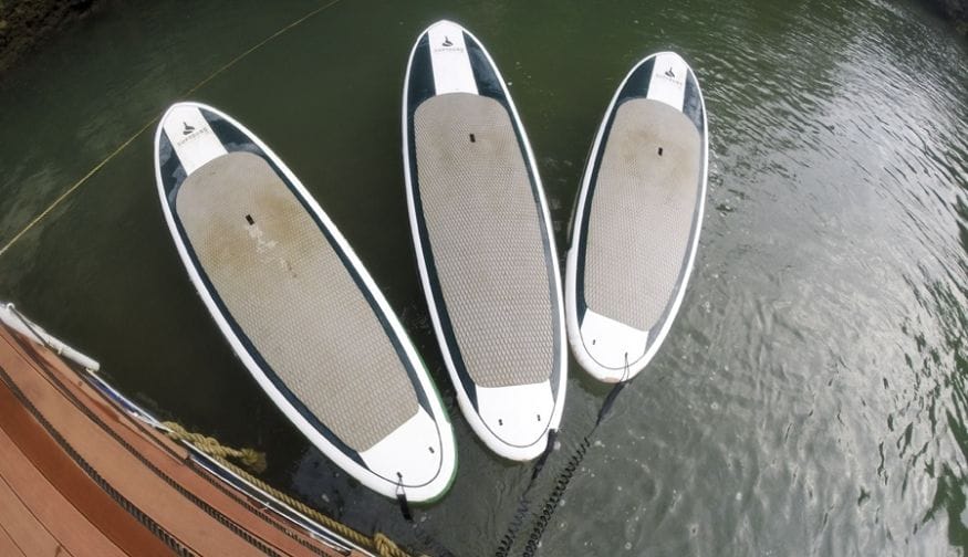 paddleboarding bohol loboc river