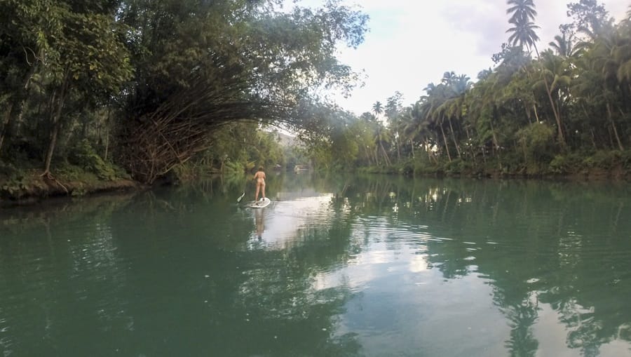 paddleboarding bohol loboc river palms
