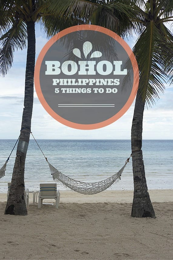 things to do in bohol pin