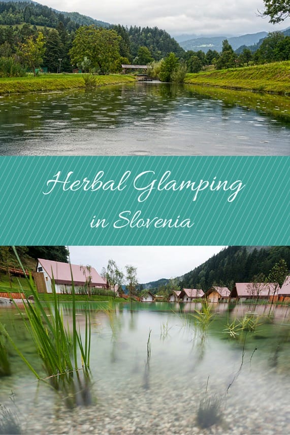 herbal glamping in slovenia pin