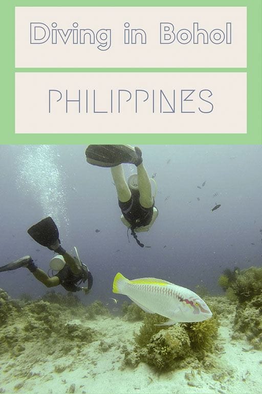 bohol diving pin