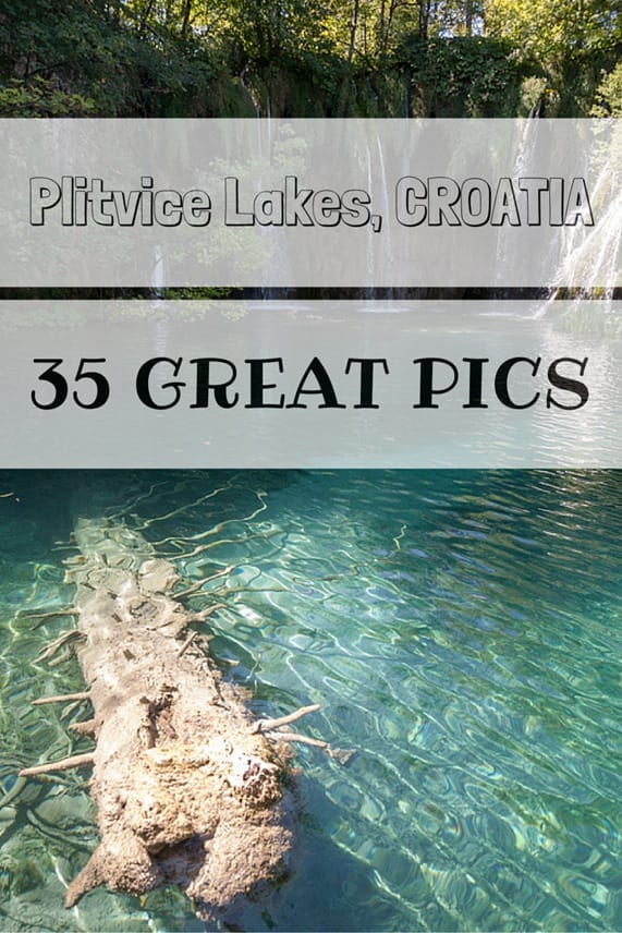 things to see in tehran pin