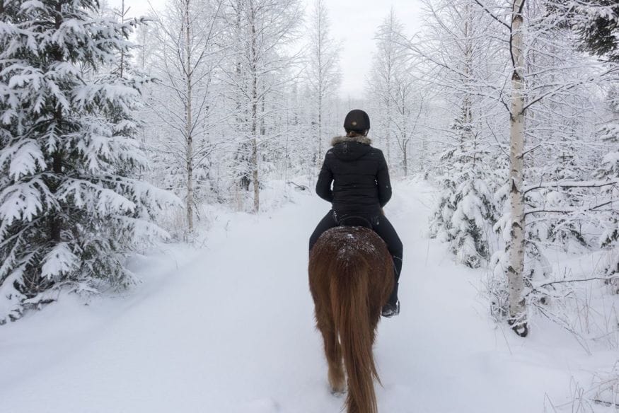 horseriding finland snow forest