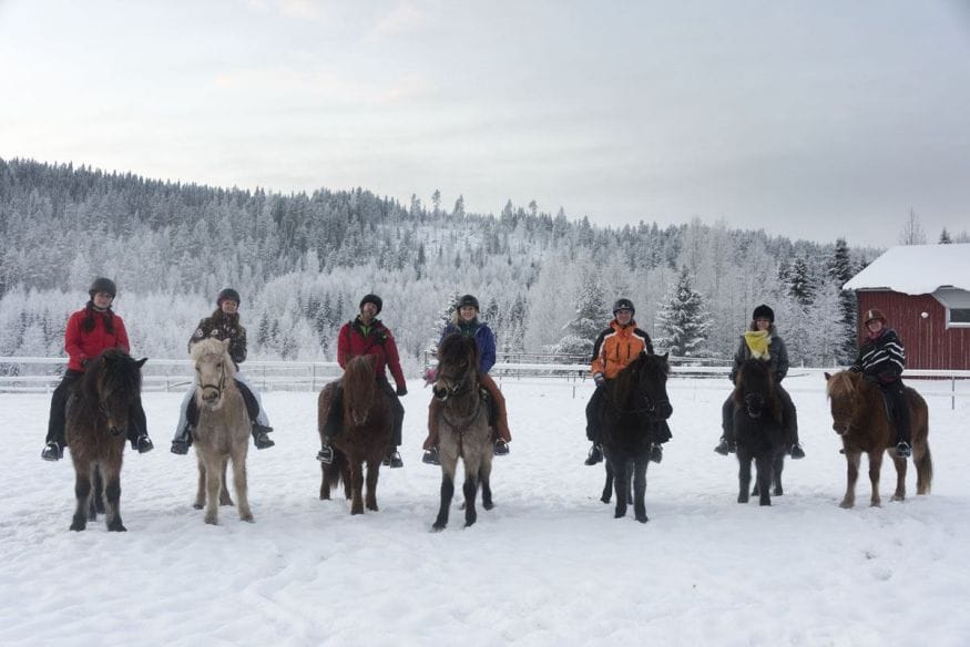 horseriding finland NBE group
