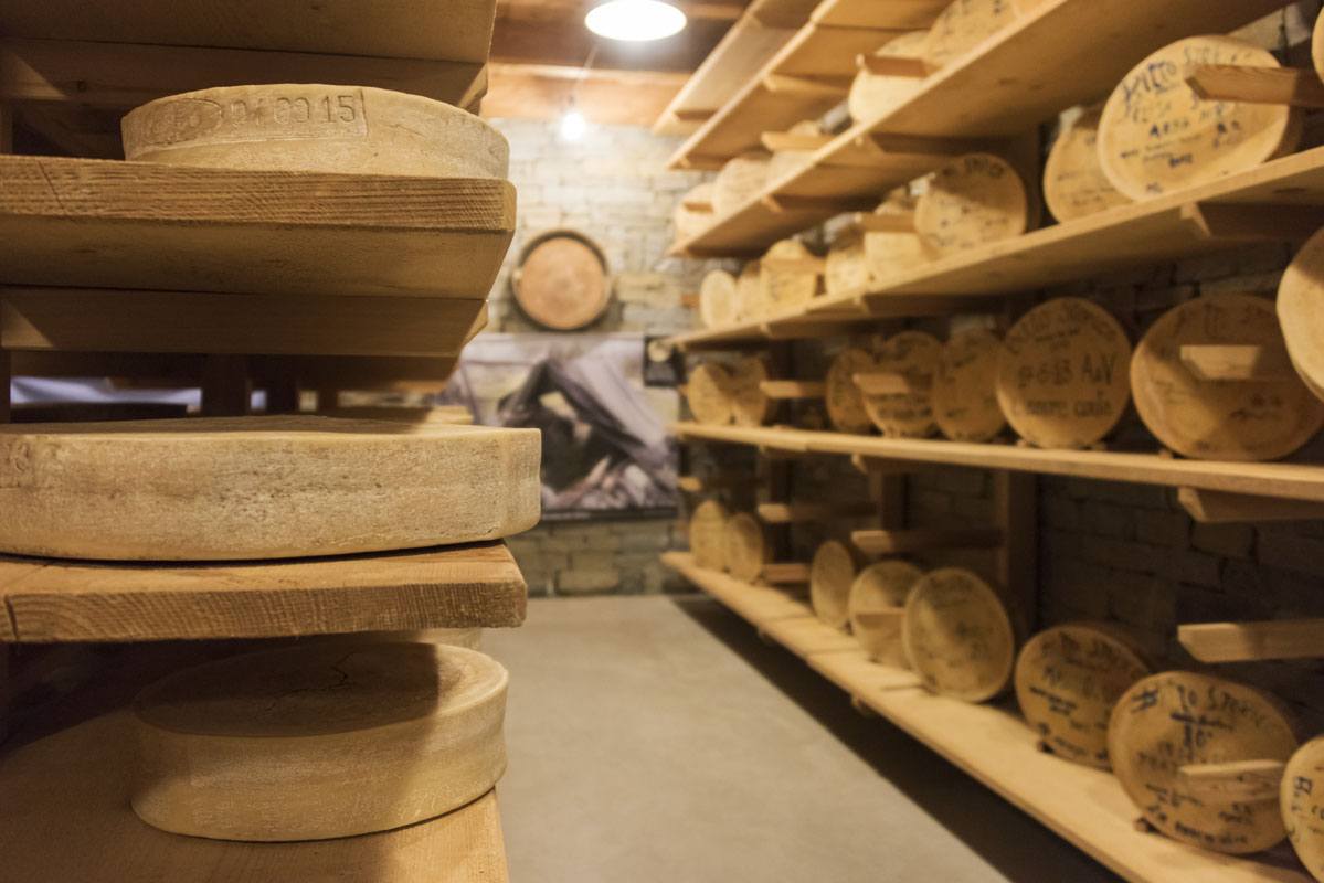 bitto cheese wheels valgerola cellar