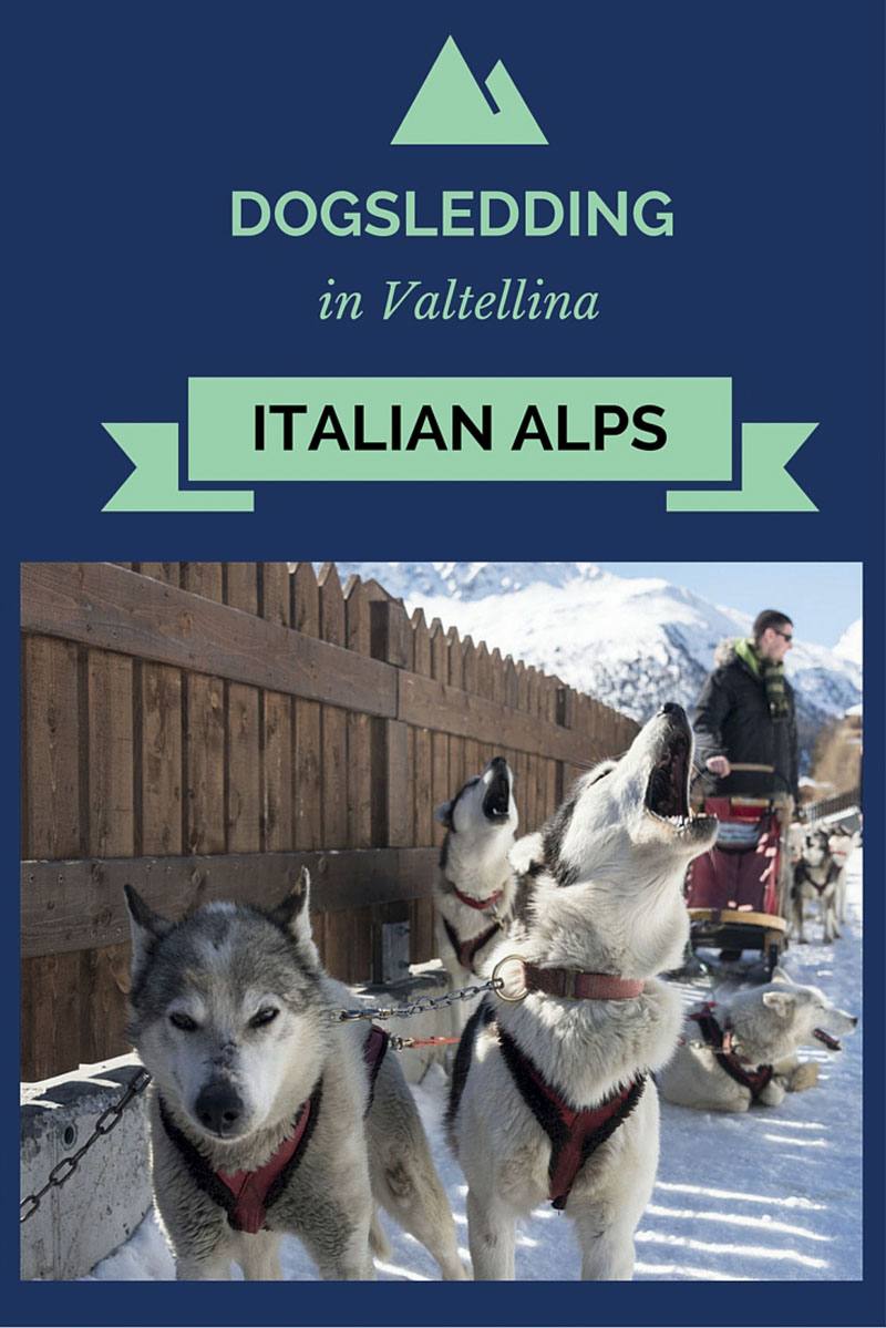 dogsledding lombardy alps pin
