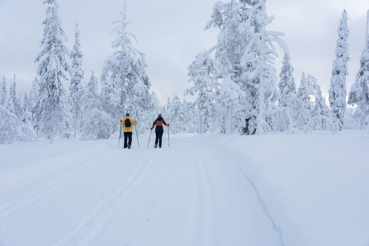 salla finland cross country ski 2 people