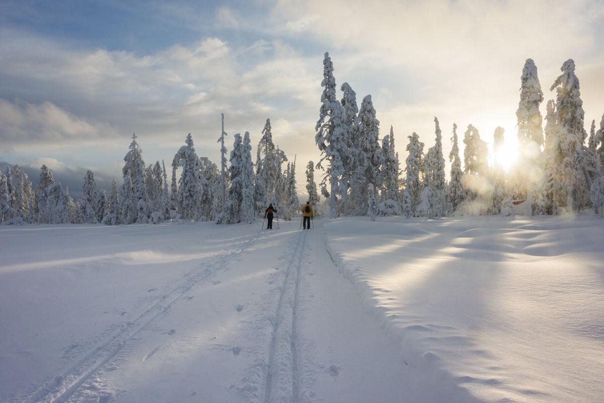 salla finland cross country ski