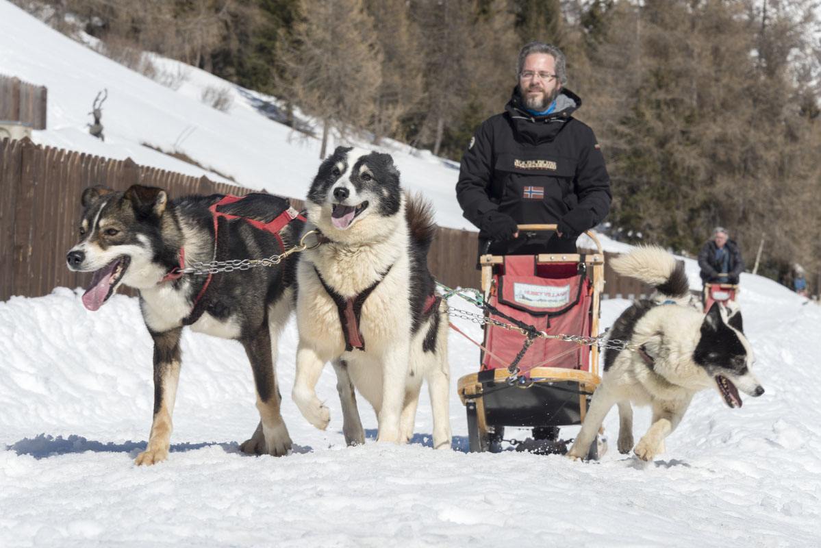 Valtellina dogsled 3 dogs