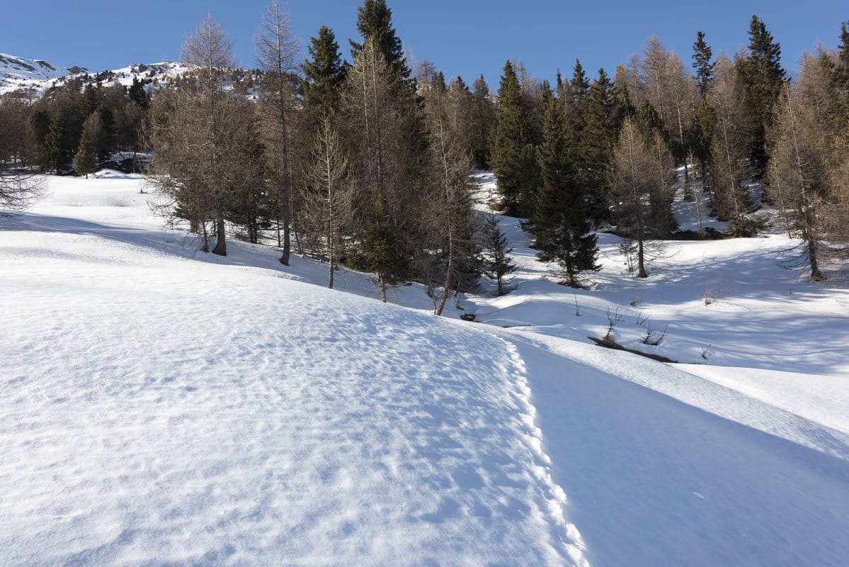 snowshoeing italian alps