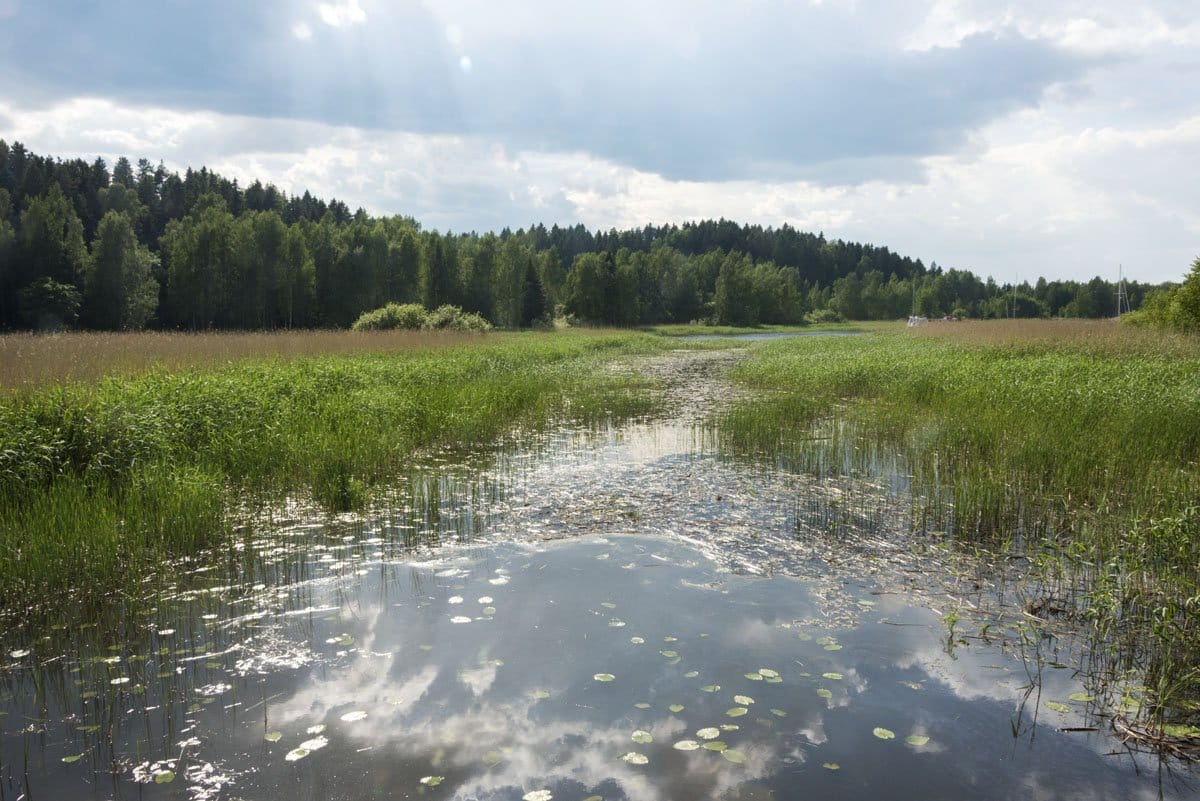 sikosaari pig island porvoo