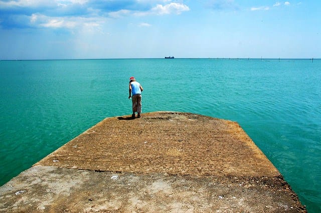 3801439467_fb524052c7_z