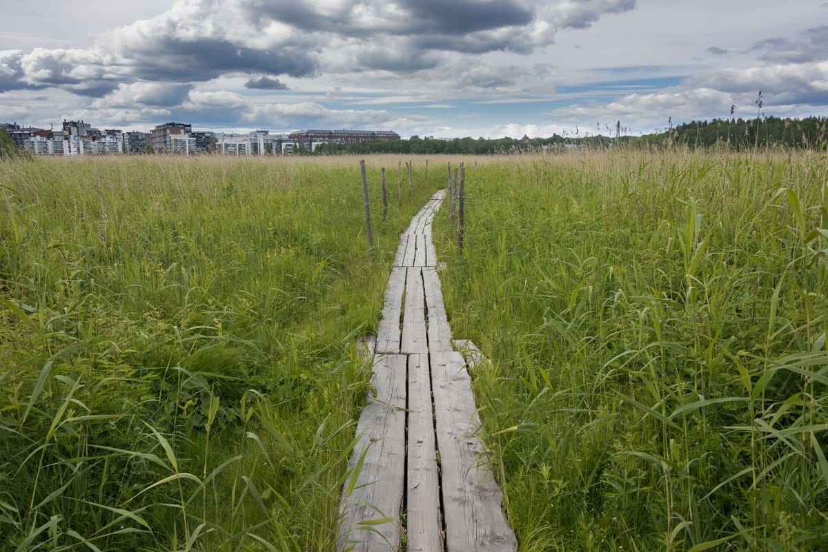 lammasaari log paths