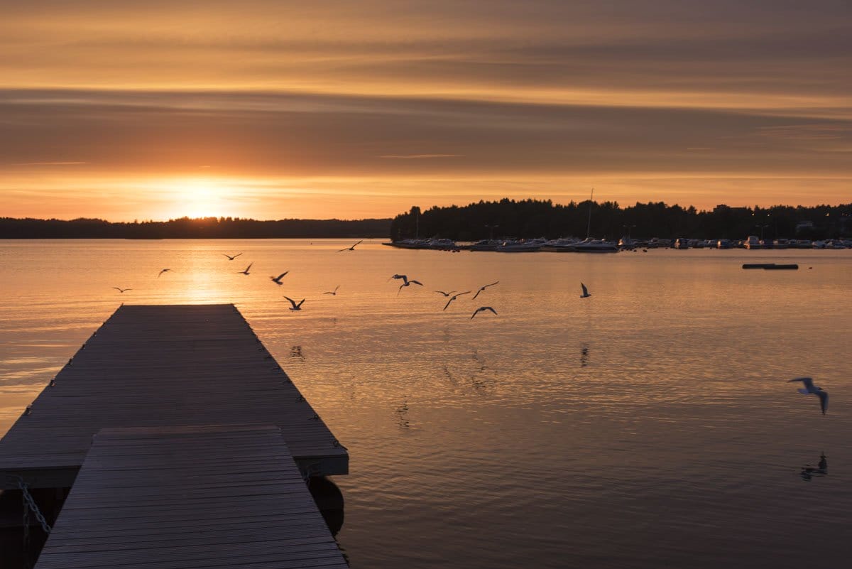 lohja finland lake sunset birds
