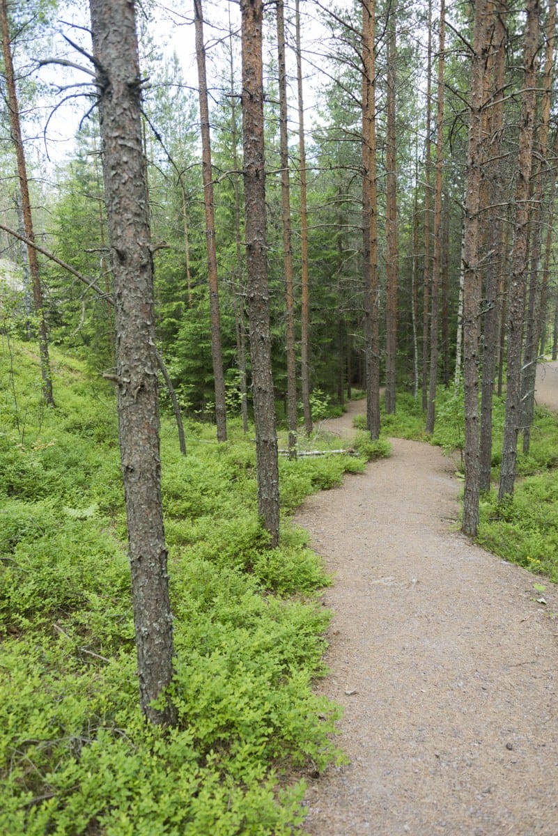 nuuksio squiggly path