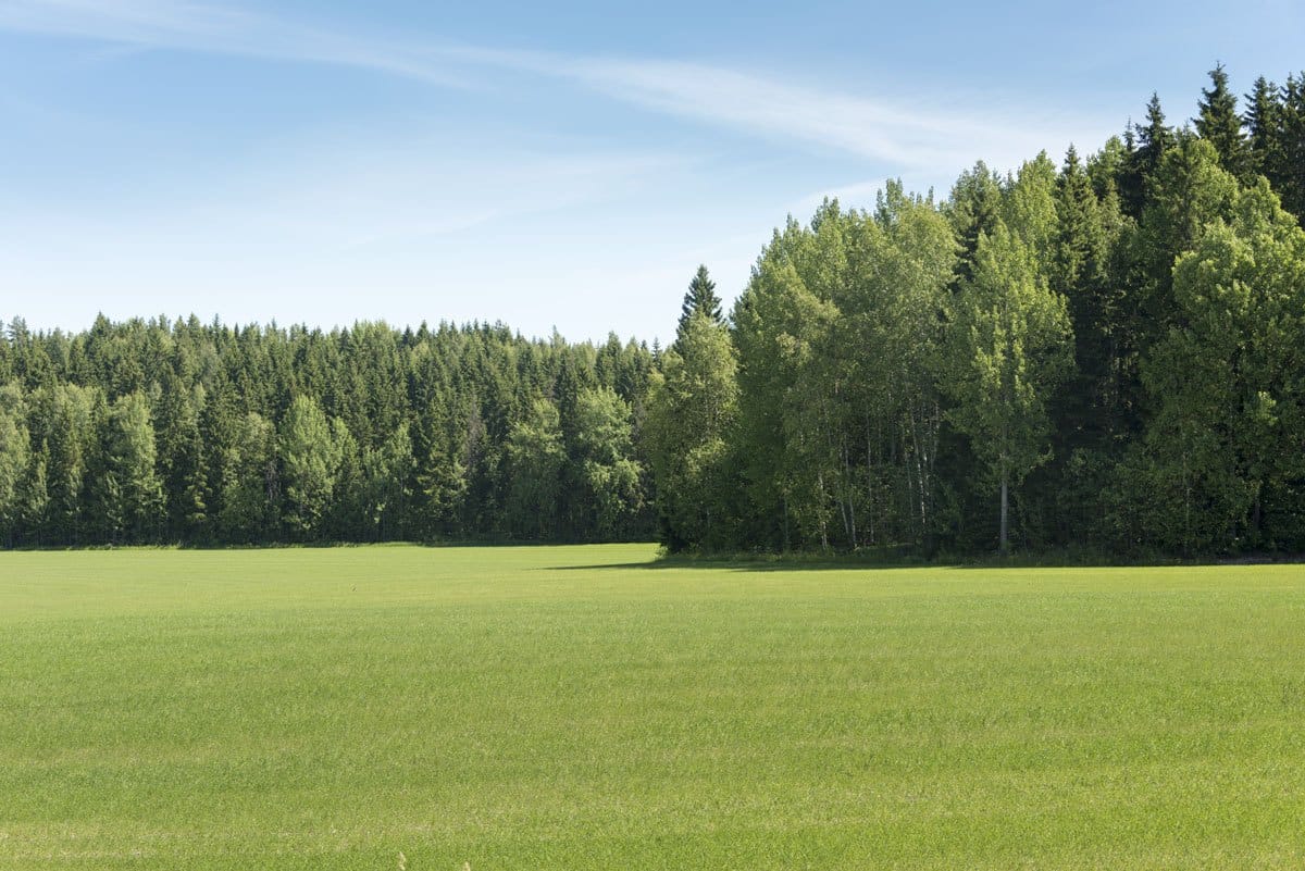 vihti finland green meadow